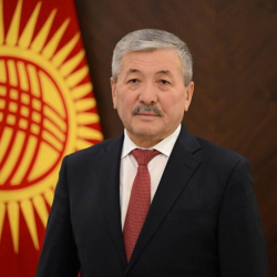 Өкмөт башчы мүмкүнчүлүгү чектелген адамдардын эл аралык күнүнө карата кайрылуу жасады