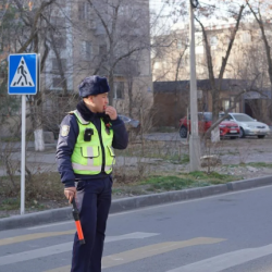 Жол тескөөчүлөргө сынак жарыяланды. Шарттары