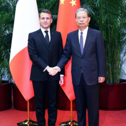 Председатель Постоянного комитета ВСНП встретился с президентом Франции