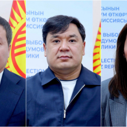 № 30 шайлоо округу боюнча шайлоонун жыйынтыктары бекитилди