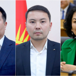 БШК №29 округу боюнча шайлоонун жыйынтыгын бекитти