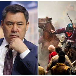 Көк бөрүдөгү кооптуу тенденциялар жана коомдук реакция