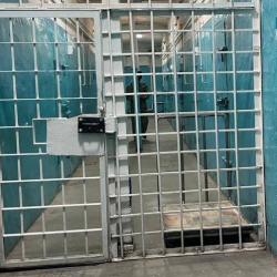 Президент Узбекистана помиловал 615 осуждённых к 33-летию Конституции