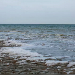 Слухи о повышении уровня воды в Аральском море прокомментировали в Минводы