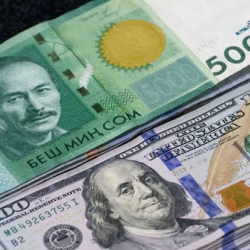 8-декабрь: Доллар менен рублдун баасына саресеп