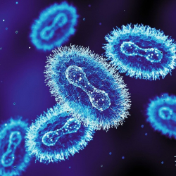 В Великобритании обнаружили новый штамм оспы обезьян