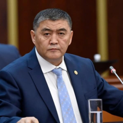Азыркы системанын кыймылдаткыч күчү – Камчыбек Ташиев