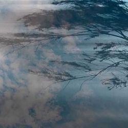 ӨКМ: Бишкек менен Чүйдө катуу шамал күтүлүүдө