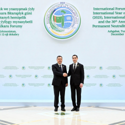 Садыр Жапаров Түркмөнстандын туруктуу бейтараптыгынын 30 жылдыгына арналган форумга катышуу үчүн конгресс-борборго келди