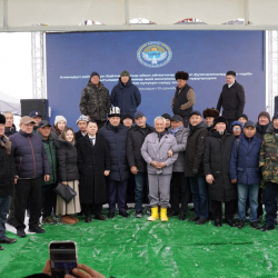 Байтикте агроөнөр жай комплекси түптөлүп, капсула салуу аземи болду