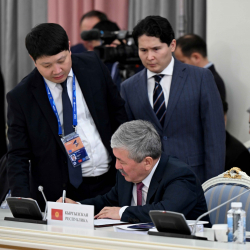 2026-жылга Кыргызстан электромиль ташып келүүдө 15 миң даанага квота алды