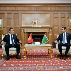 Жапаров менен Бердымухамедов энергетикалык кызматташтыкты талкуулашты