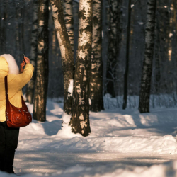 13-декабрга карата аба ырайы