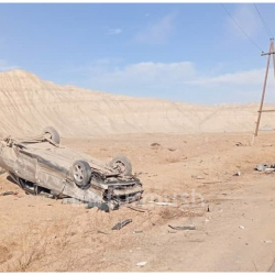 Эрежени билбегендер эмес, тоотпогондор көп бузушат