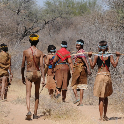 БЕЛТА: Польшада африка чумасы. Власти аскерлерди ооруп калган кабандарды издөө үчүн тартты