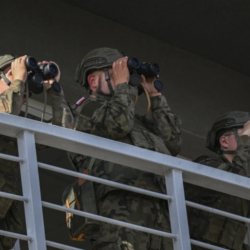 БЕЛТА: Африканская чума в Польше. Власти привлекли военных для поиска зараженных кабанов