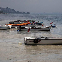 Белта: Мраморное море в Турции внезапно отступило примерно на 20 м от берега