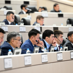 Жогорку Кеңеште тармактык комитеттердин төрагаларынын орун басарлары шайланды