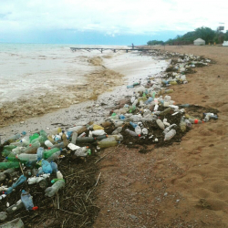 Ысык-Көлдүн түбүнөн 43 тонна таштанды чыгарылды