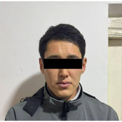 Чүй облусунда уурулуктардын сериясына шектүү жаран кармалды