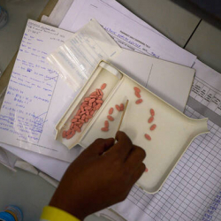 ЙОХАННЕСБУРГ: США подписали новые соглашения в сфере здравоохранения с девятью странами Африки