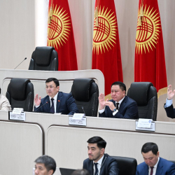 Комитеты Жогорку Кенеша одобрили в трех чтениях законопроекты, касающиеся республиканского бюджета