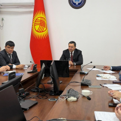 Саламаттык сактоо министринин милдетин аткаруучу дары-дармек менен камсыздоо маселелери боюнча жумушчу топ менен жыйын өткөрдү