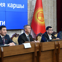 Комитет Жогорку Кенеша рассмотрел законопроект, предлагающий налоговые льготы для отдельных отраслей экономики