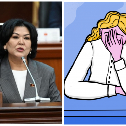 Гүлсүнкан Жунушалиева: “Күн чыгарган лампалар эметилет”