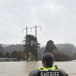 Калифорнияда катуу бороон ири суу ташкындарын жаратты