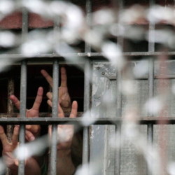 Беларуста 569 саясий туткун мунапыска чыгарылды