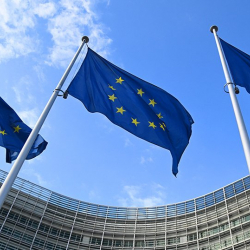 Европанын элин европалыктар түзбөй калды