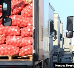 Акыркы 11 айда 562 тонна жүктү Кыргызстанга киргизүүгө тыюу салынды