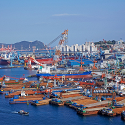 2025-жылы Кытай менен Борбордук Азия кызматташтыгы жаңы деңгээлге чыкты