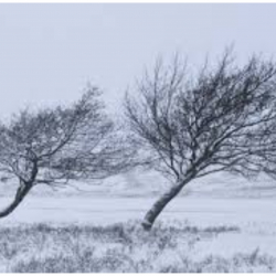 ШАШЫЛЫШ БИЛДИРҮҮ! Өзгөчө кырдаалдар министрлиги аба ырайы тууралуу эскертет