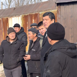 Каза болгон 