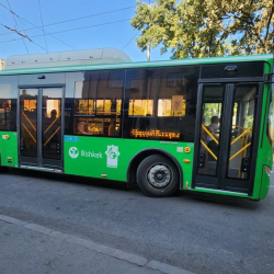 800гө жакын автобустун айдоочусу «кара тизмеге» кирди