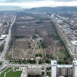 В Ботсаду построят футбольные поля