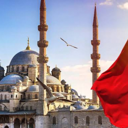 Жарандарды Түркияга ишке орноштурган 4 компаниянын иши токтотулду - министрлик