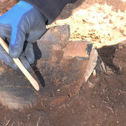 В Норвегии археолог обнаружила редкое средневековое золотое кольцо