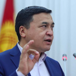 Иманалиевдин кубулганын көргөндө хамелеон ыңгайсыз болуп кетет го, чиркин!