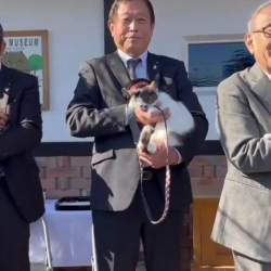 Японияда мышык жетекчи болуп дайындалды