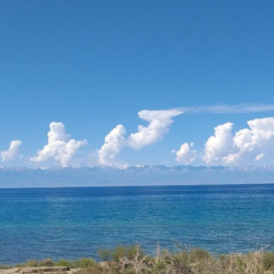 Министрлик Ысык-Көлдөгү экологиялык кырдаалдын жакшырганын белгиледи