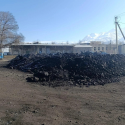 Нарында көмүр 5500 сомдон сатылып жатат