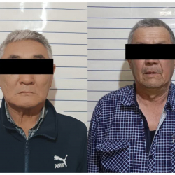 Кеминде адам өлтүрүүгө шектелип эки жаран кармалды