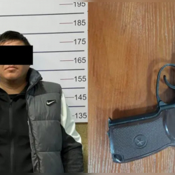 Бишкекте ок атуучу курал менен коркуткан жаран кармалды