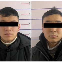 Баңгизат жана психотроптук заттарды мыйзамсыз даярдоого шектүүлөр кармалды