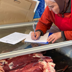 Бишкек шаарында эт азыктарынын жана башка керектелүүчү товарлардын баалары көзөмөлдөнүүдө