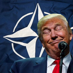 Европада Трамп НАТОну жоюп жиберет деген кооптонуу күч алды