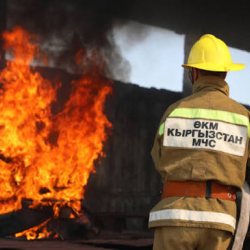 Кара-Көлдө өрттөн бир адам каза болду